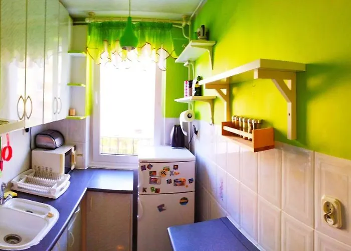 公寓 Miedzy Lasem A Morzem 索波特