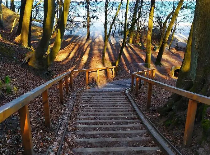 公寓 Miedzy Lasem A Morzem 索波特