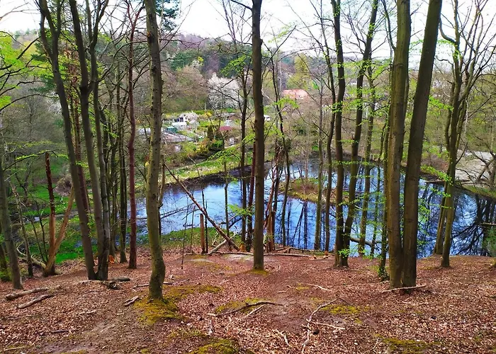 Lejlighed Miedzy Lasem A Morzem Sopot