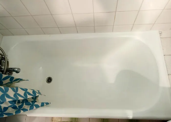 Miedzy Lasem A Morzem Sopot